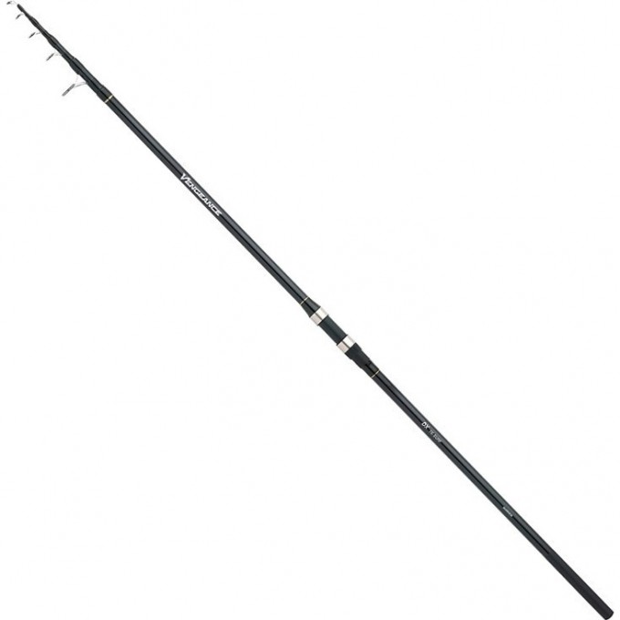 Удилище SHIMANO VENGEANCE DX TE SURF 4,3M 200G VDXSFTE4320